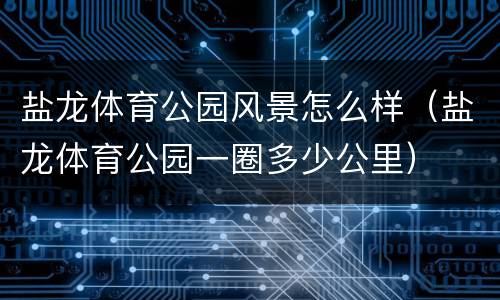 盐龙体育公园风景怎么样（盐龙体育公园一圈多少公里）