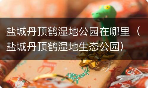 盐城丹顶鹤湿地公园在哪里（盐城丹顶鹤湿地生态公园）