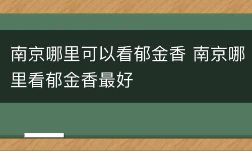 南京哪里可以看郁金香 南京哪里看郁金香最好