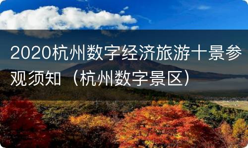 2020杭州数字经济旅游十景参观须知（杭州数字景区）