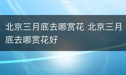 北京三月底去哪赏花 北京三月底去哪赏花好