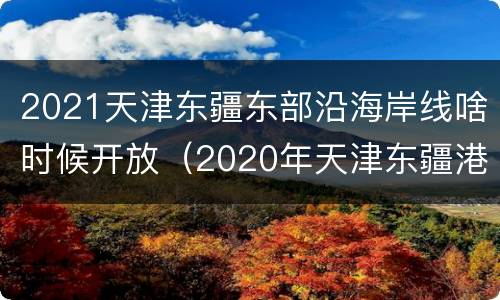 2021天津东疆东部沿海岸线啥时候开放（2020年天津东疆港填海）