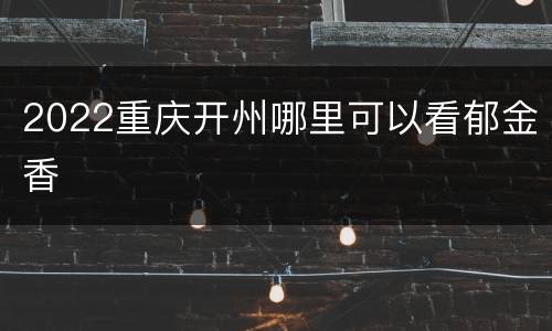 2022重庆开州哪里可以看郁金香
