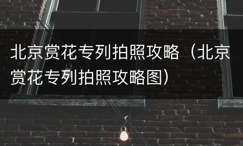 北京赏花专列拍照攻略（北京赏花专列拍照攻略图）