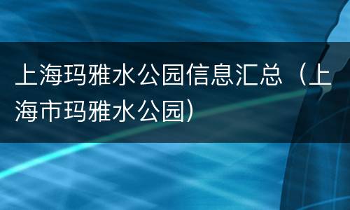 上海玛雅水公园信息汇总（上海市玛雅水公园）