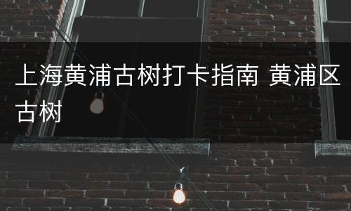 上海黄浦古树打卡指南 黄浦区古树