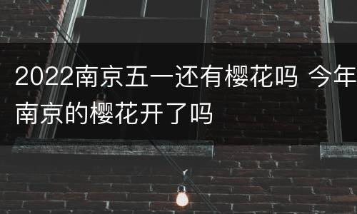 2022南京五一还有樱花吗 今年南京的樱花开了吗