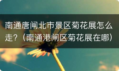 南通唐闸北市景区菊花展怎么走?（南通港闸区菊花展在哪）