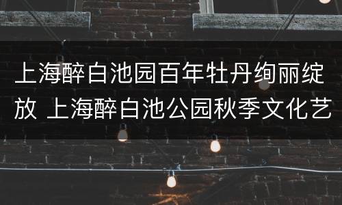 上海醉白池园百年牡丹绚丽绽放 上海醉白池公园秋季文化艺术节