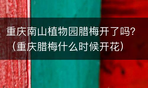 重庆南山植物园腊梅开了吗？（重庆腊梅什么时候开花）
