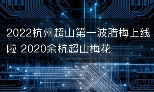 2022杭州超山第一波腊梅上线啦 2020余杭超山梅花