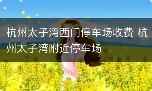 杭州太子湾西门停车场收费 杭州太子湾附近停车场