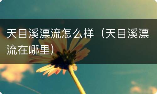 天目溪漂流怎么样（天目溪漂流在哪里）