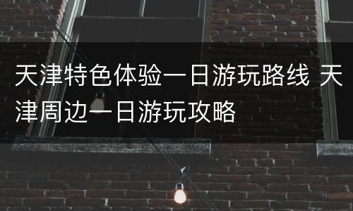 天津特色体验一日游玩路线 天津周边一日游玩攻略