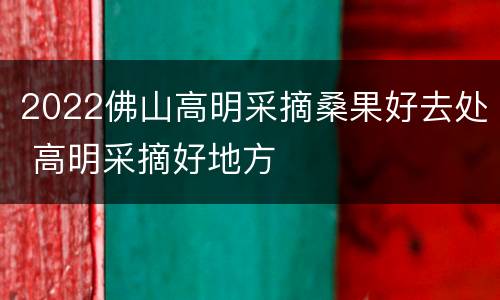 2022佛山高明采摘桑果好去处 高明采摘好地方