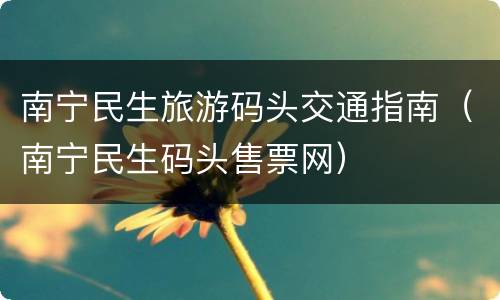 南宁民生旅游码头交通指南（南宁民生码头售票网）