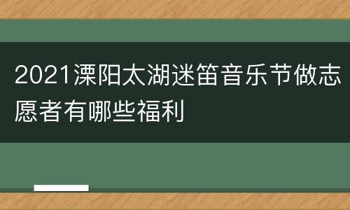 2021溧阳太湖迷笛音乐节做志愿者有哪些福利