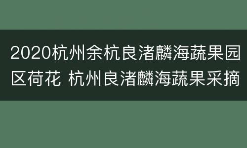 2020杭州余杭良渚麟海蔬果园区荷花 杭州良渚麟海蔬果采摘园