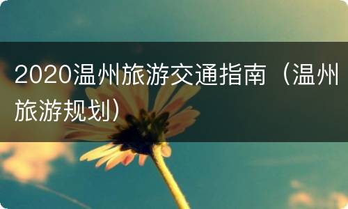 2020温州旅游交通指南（温州旅游规划）