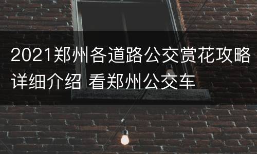 2021郑州各道路公交赏花攻略详细介绍 看郑州公交车
