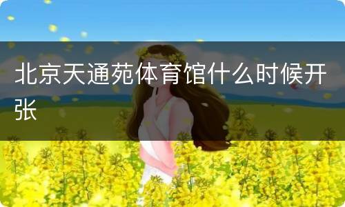 北京天通苑体育馆什么时候开张