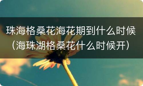 珠海格桑花海花期到什么时候（海珠湖格桑花什么时候开）