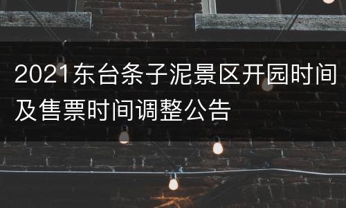 2021东台条子泥景区开园时间及售票时间调整公告