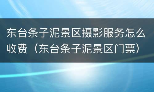 东台条子泥景区摄影服务怎么收费（东台条子泥景区门票）