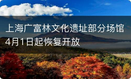 上海广富林文化遗址部分场馆4月1日起恢复开放