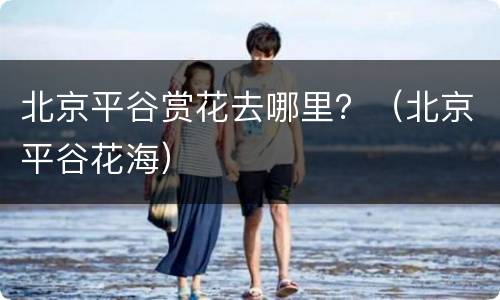 北京平谷赏花去哪里？（北京平谷花海）