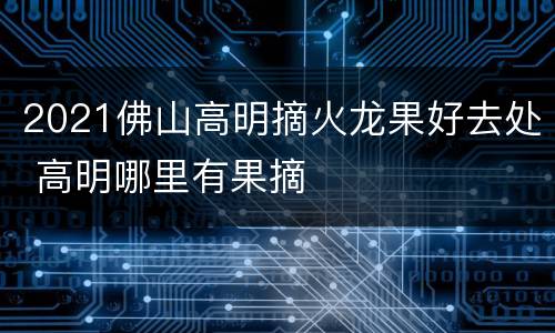 2021佛山高明摘火龙果好去处 高明哪里有果摘