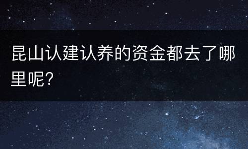 昆山认建认养的资金都去了哪里呢?