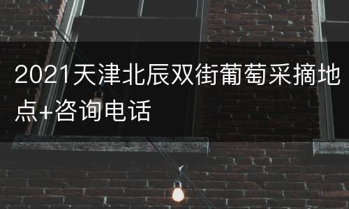 2021天津北辰双街葡萄采摘地点+咨询电话
