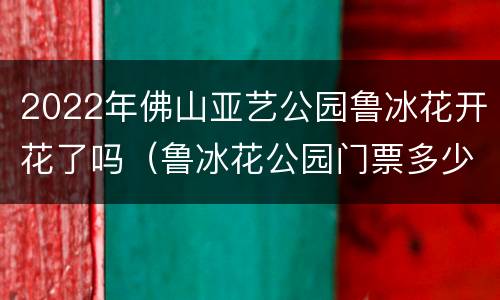 2022年佛山亚艺公园鲁冰花开花了吗（鲁冰花公园门票多少钱）