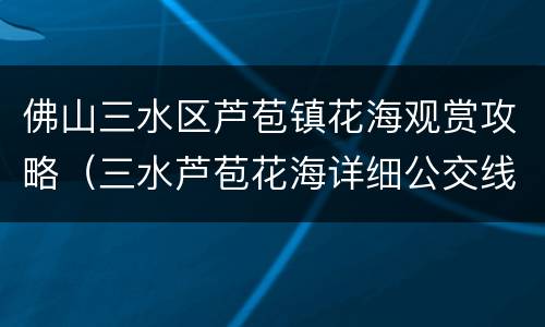 佛山三水区芦苞镇花海观赏攻略（三水芦苞花海详细公交线路）