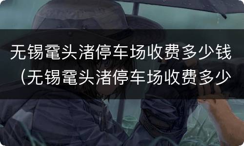 无锡鼋头渚停车场收费多少钱（无锡鼋头渚停车场收费多少钱啊）