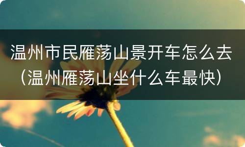 温州市民雁荡山景开车怎么去（温州雁荡山坐什么车最快）