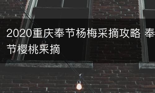 2020重庆奉节杨梅采摘攻略 奉节樱桃采摘