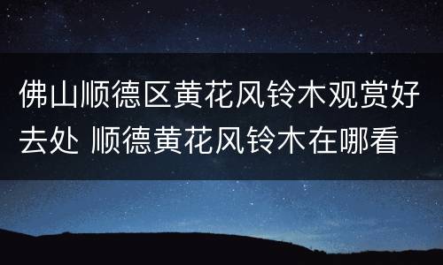 佛山顺德区黄花风铃木观赏好去处 顺德黄花风铃木在哪看