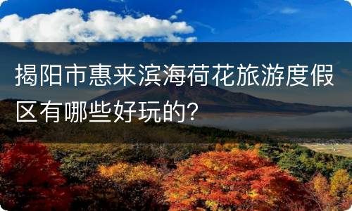 揭阳市惠来滨海荷花旅游度假区有哪些好玩的？