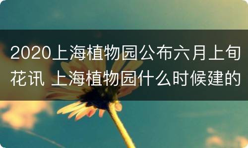 2020上海植物园公布六月上旬花讯 上海植物园什么时候建的