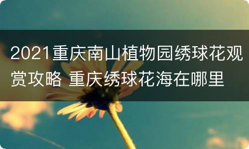 2021重庆南山植物园绣球花观赏攻略 重庆绣球花海在哪里