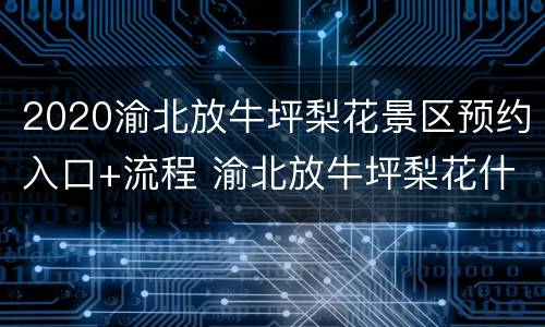 2020渝北放牛坪梨花景区预约入口+流程 渝北放牛坪梨花什么开放