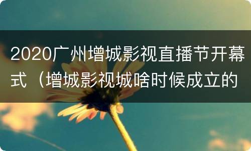 2020广州增城影视直播节开幕式（增城影视城啥时候成立的）