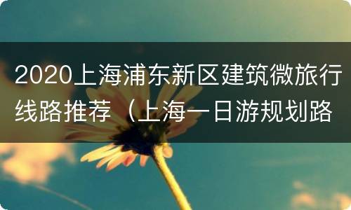 2020上海浦东新区建筑微旅行线路推荐（上海一日游规划路线）