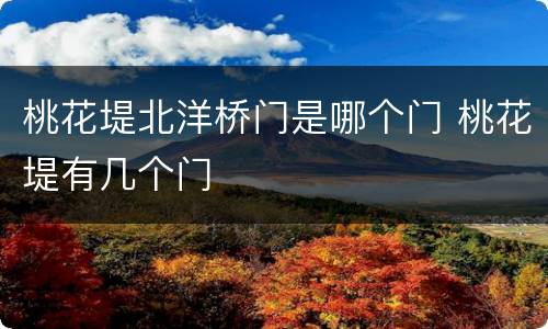 桃花堤北洋桥门是哪个门 桃花堤有几个门