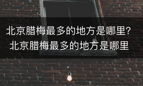 北京腊梅最多的地方是哪里？ 北京腊梅最多的地方是哪里