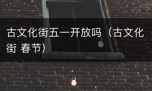 古文化街五一开放吗（古文化街 春节）