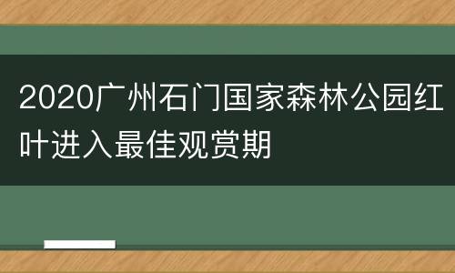 2020广州石门国家森林公园红叶进入最佳观赏期