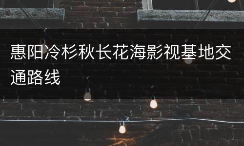 惠阳冷杉秋长花海影视基地交通路线